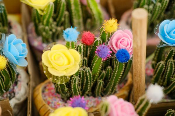 万重山烂根怎么办