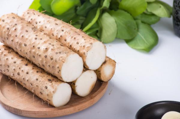 山药养殖长虫怎么办，山药虫害有哪些