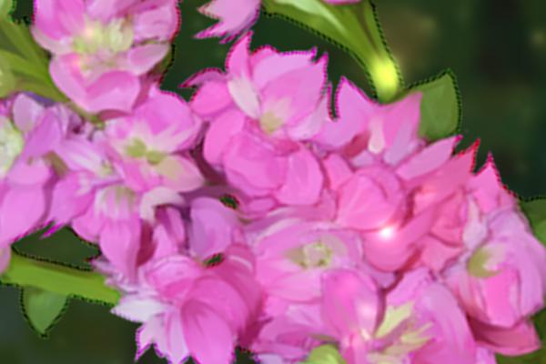 宿迁适合养什么花,市花和市树是什么