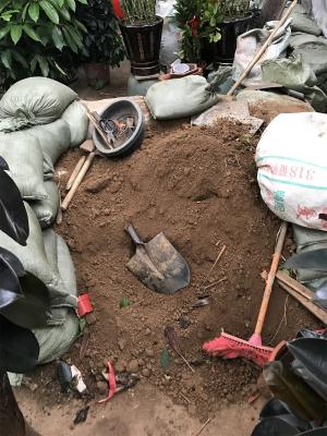 城市里种花的土去哪挖