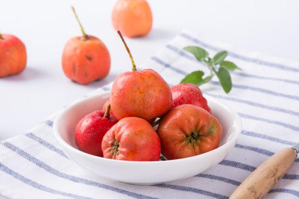 山楂树有什么品种，山楂树好养护吗