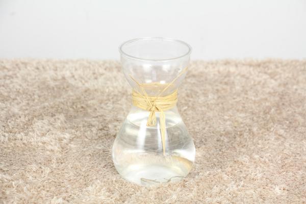 水仙花休眠期怎样养护，水仙花休眠期过后怎么管理