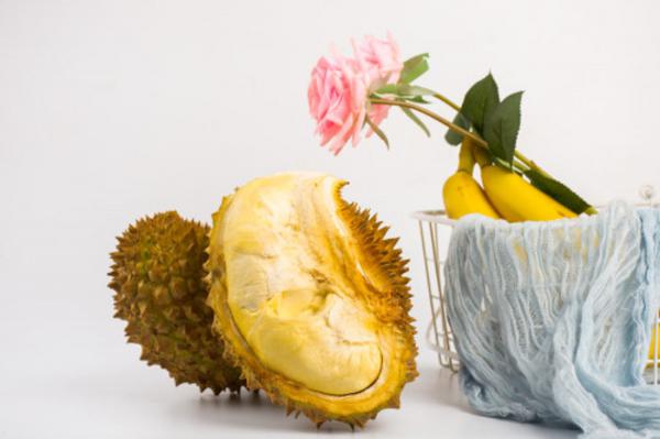 榴莲图片（形态特征和养护方法简介）