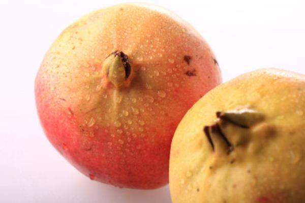 石榴盆栽种植方法是什么,石榴籽可以种小盆栽吗