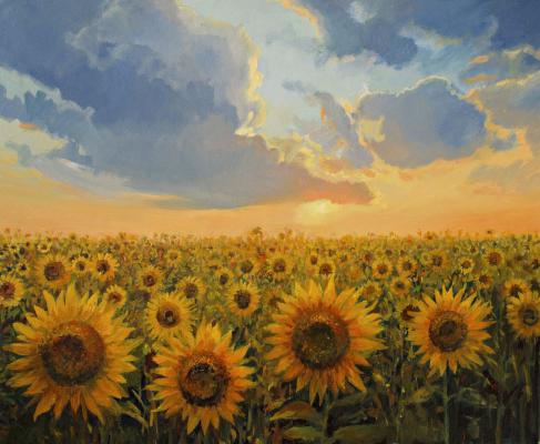 向日葵花的养殖方法