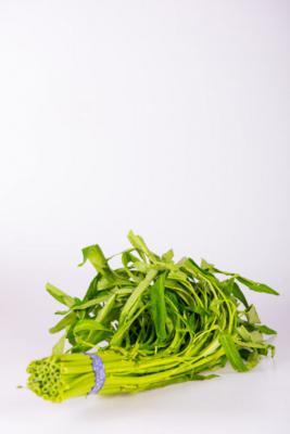 空心菜种植时间和方法