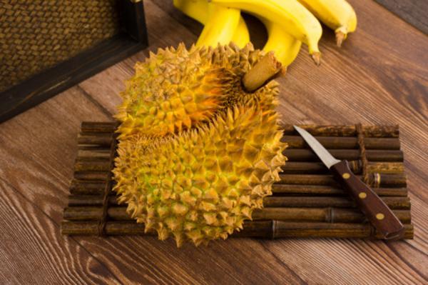 榴莲秋天怎么养