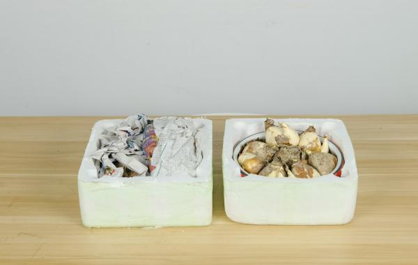 水仙花秋天怎么养