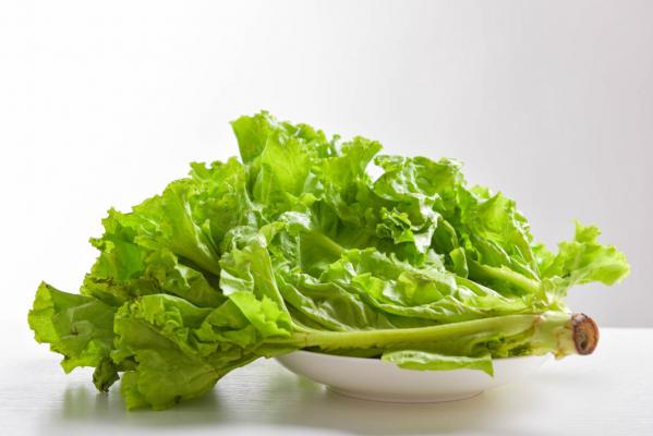 生菜怎么种