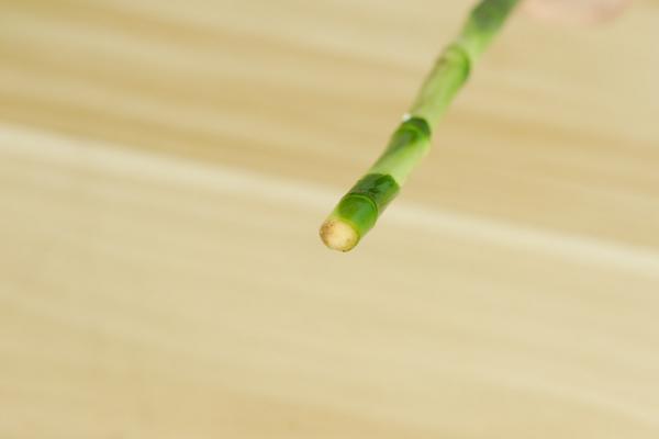 富贵竹怎么修剪根部