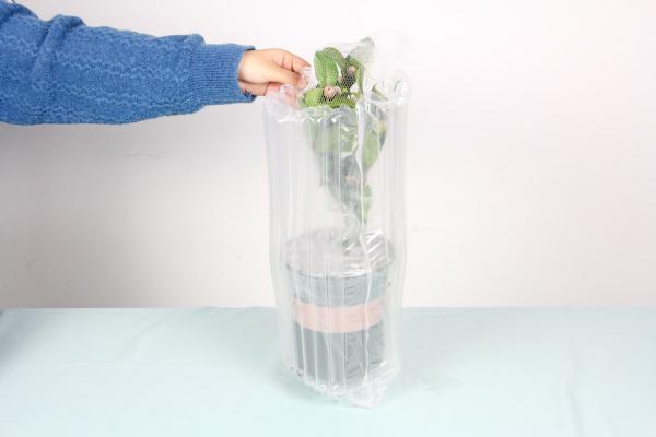 啤酒可以浇茶花吗