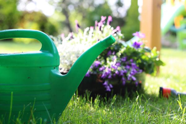 冬天浇水一句话，保花能活20年！