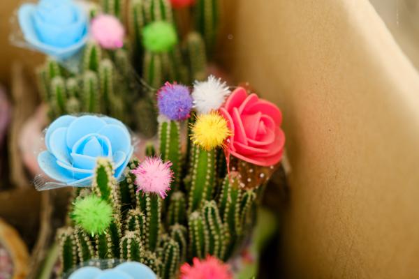 万重山怎么浇水