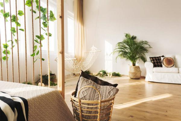 植物窗帘怎么种出来？这样做一个月搞定！