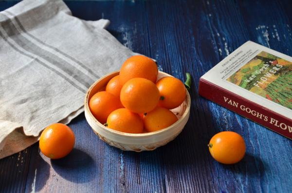 盆栽金桔怎么浇水