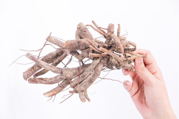 牡丹花花芯发黑怎么办？