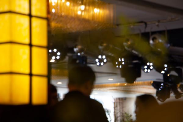 兰花什么时候分株好