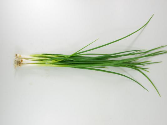 小葱还用买？吃剩的根扔土里，收获一片“小葱林”