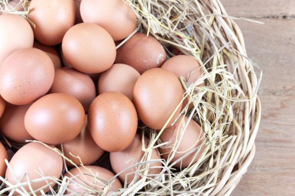 鸡蛋养花的正确使用方法，保你花大色艳，还不招虫子