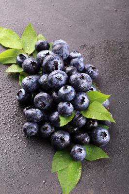 蓝莓的修剪方法