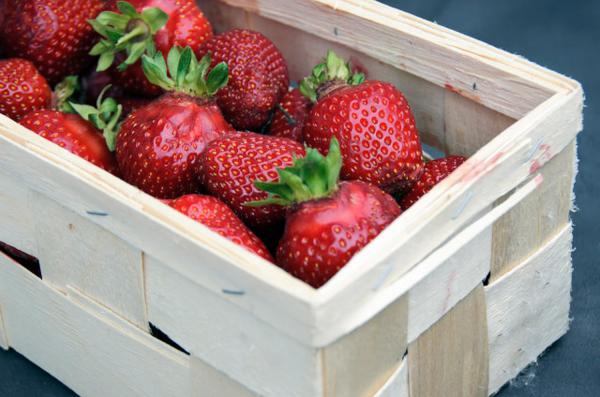 盆栽草莓怎么授粉