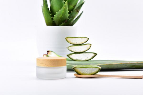 芦荟叶子发红怎么办