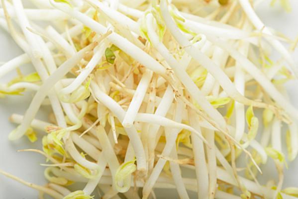 他用1个矿泉水瓶就生出了豆芽，太实用了