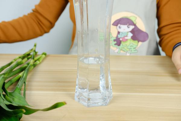 富贵竹全套养护技巧，再也不怕养不好了！