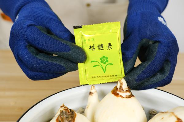 水仙浸养“五怕”