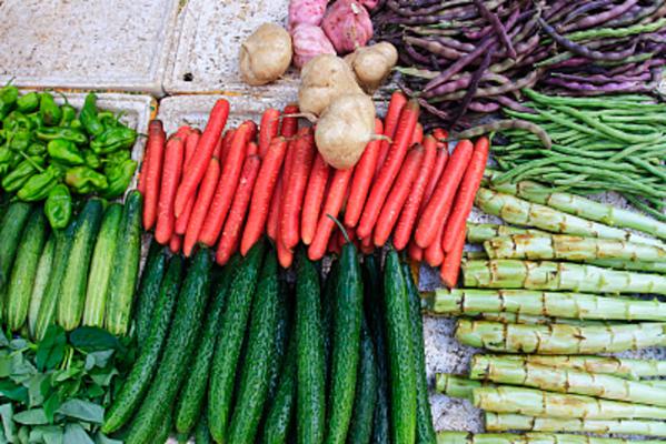 「案例+图示」4种菜园改造详细方案