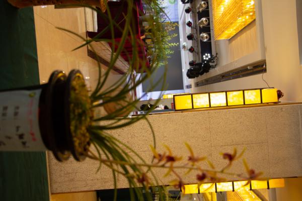 兰花的播种方法