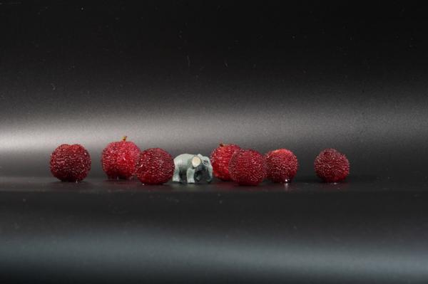 杨梅腌渍的方法,其他吃法有哪些