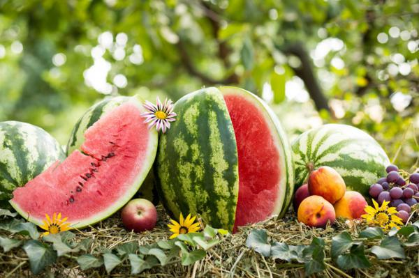 什么的西瓜,西瓜图片