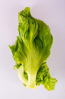 生菜的做法，怎么炒好吃