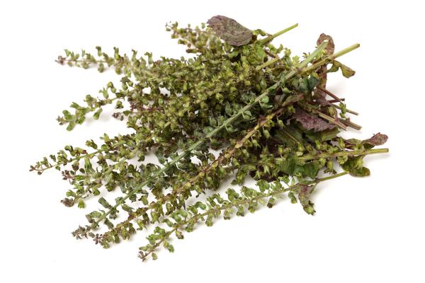 紫苏油的功效与作用，紫苏水的功效与作用