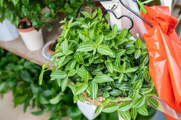 钻石翡翠有毒吗