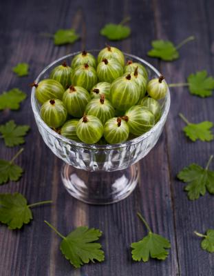 灯笼果的功效与作用