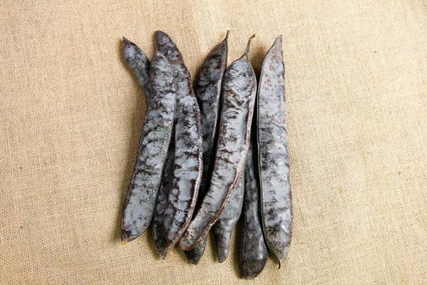 皂角的功效与作用