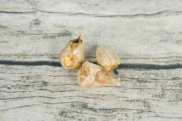 香雪兰适合在室内养吗