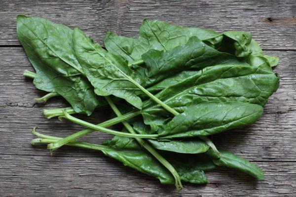 菠菜的功效与作用
