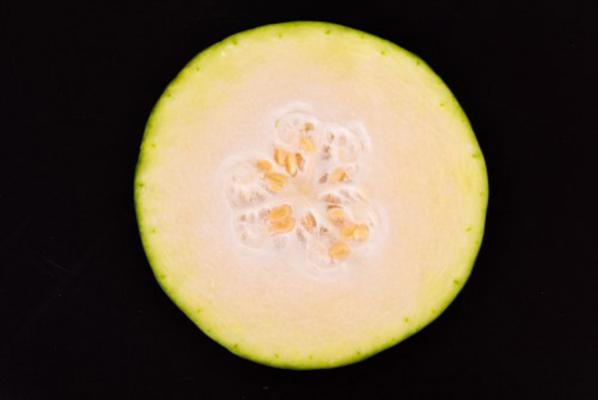 冬瓜的盆栽种植方法