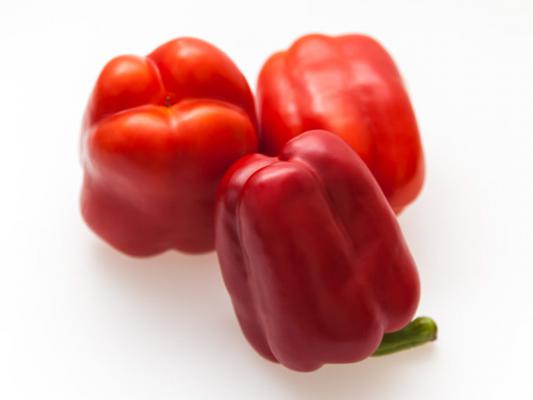 辣椒长蚜虫怎么办