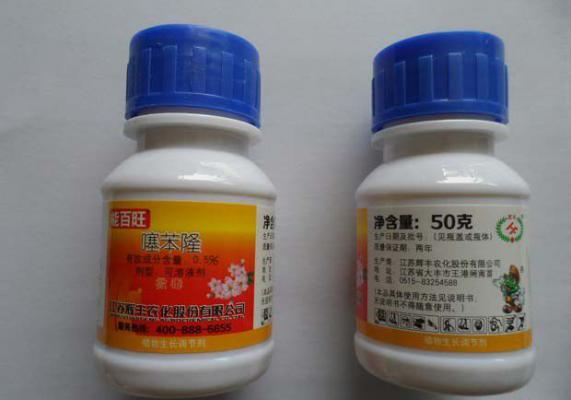 噻苯隆能替代乙烯利