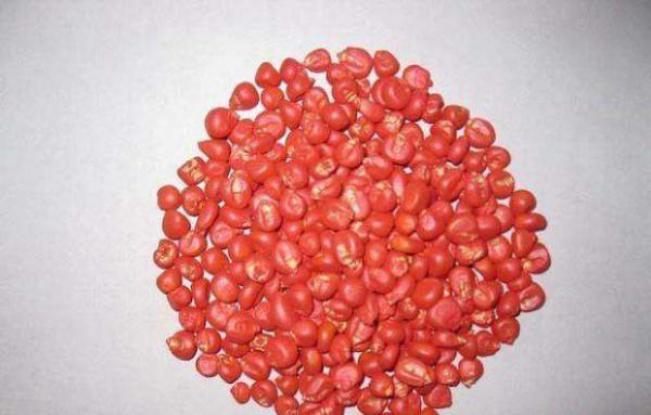 玉米种子播前处理方法