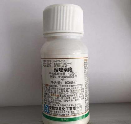 甜糯玉米为什么慎用磺酰脲类除草剂？