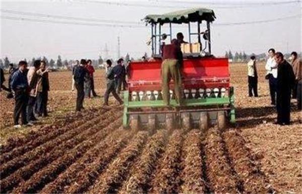 小麦播种过深该如何补救