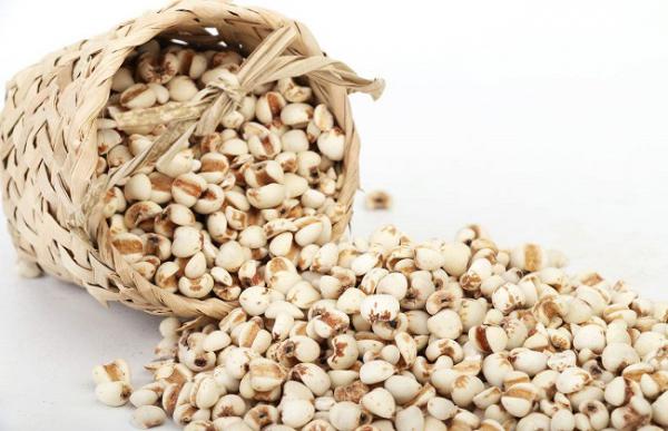 薏米的种植方法与时间