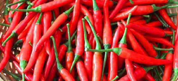 吃辣的好处与坏处？