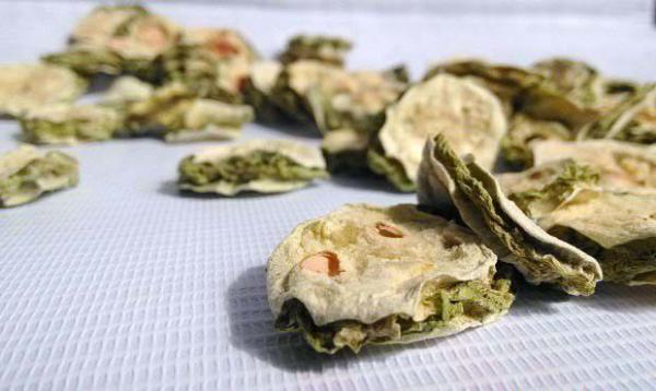 长期喝苦瓜茶是否有害？