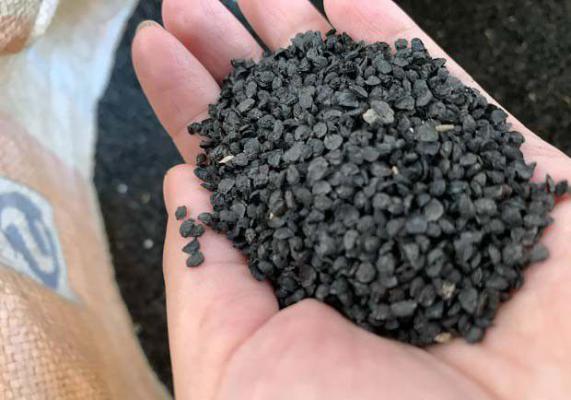 韭菜子泡茶的功效与作用